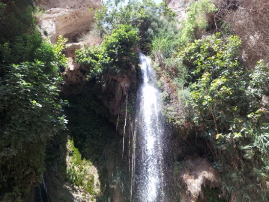 엔게디(Ein Gedi) 이미지