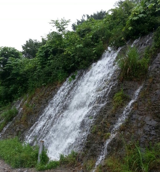 천태산오토캠핑장 이미지