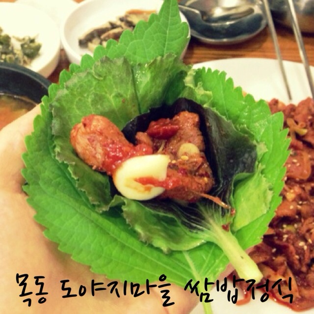 제주통도야지 이미지