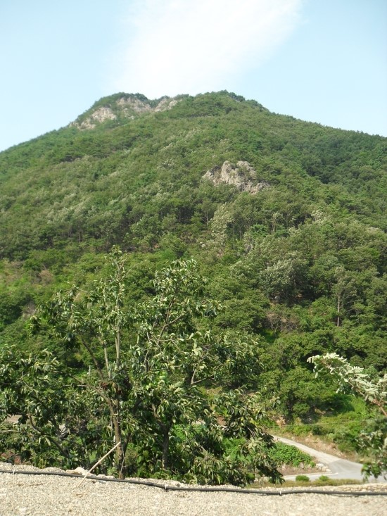 천태산오토캠핑장 이미지
