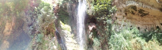 엔게디(Ein Gedi) 이미지
