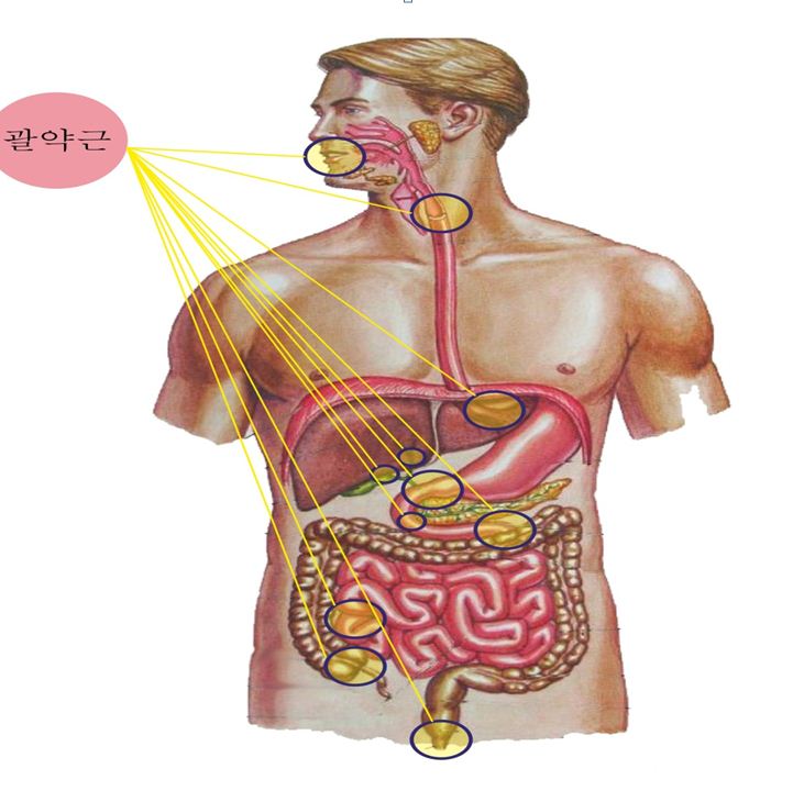 아마란스뷰티라인 이미지