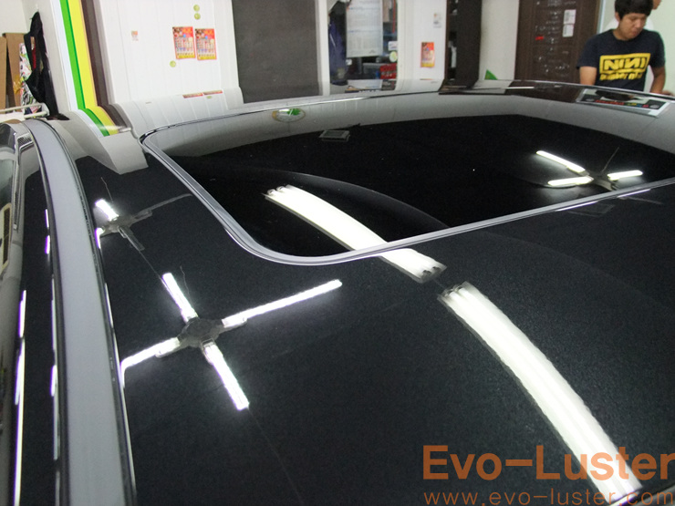 Evo-Luster 이미지
