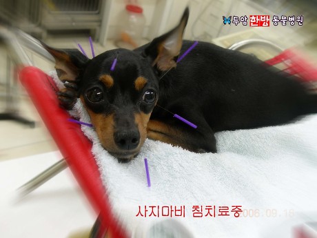 두암한방병원 이미지