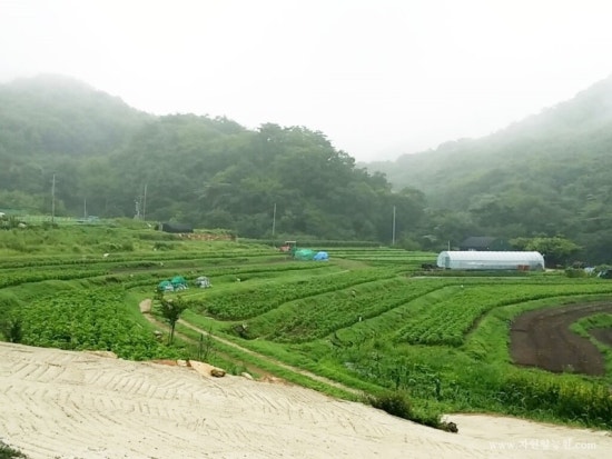 자연양능원 이미지