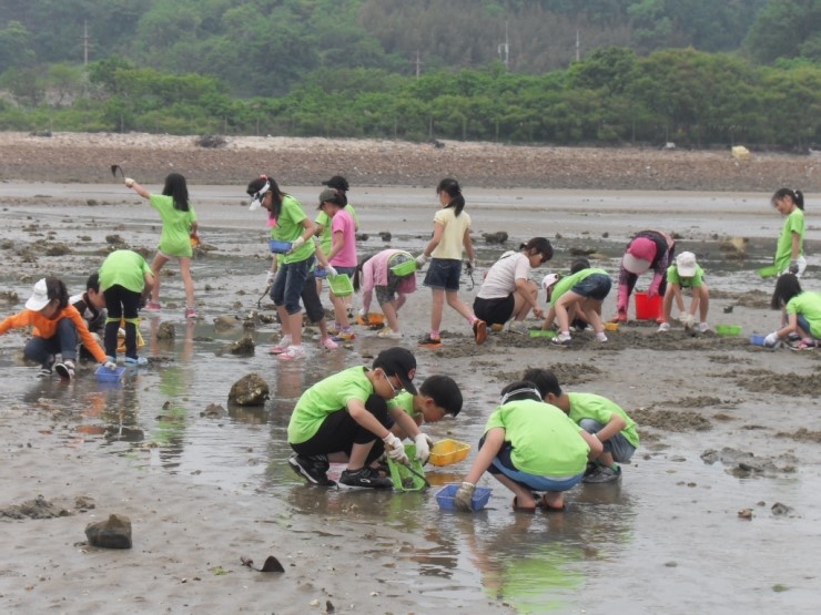 대기리 산촌체험학교 야영장 이미지