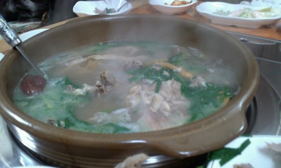 명가오리천국 이미지