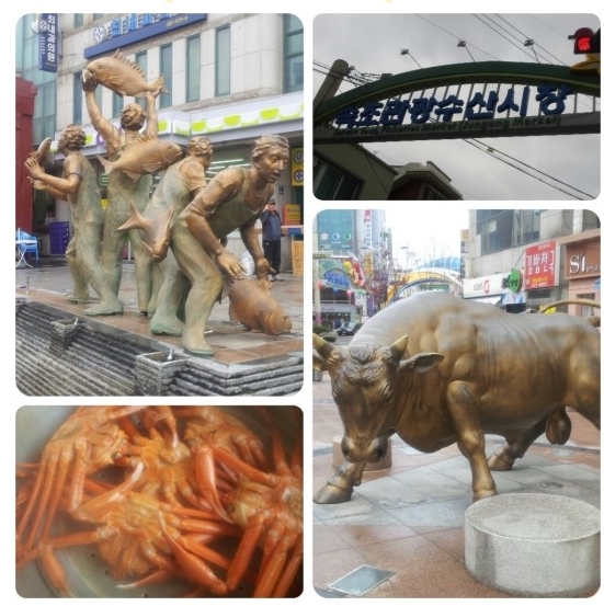 속초수산 이미지