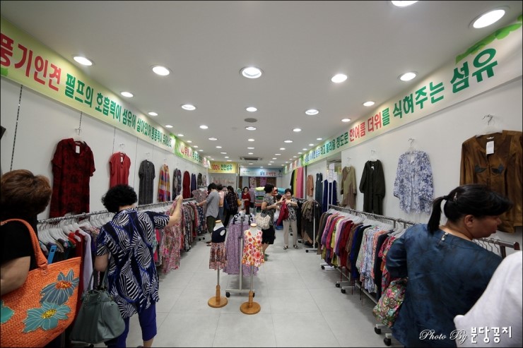 풍기인견나무 이미지