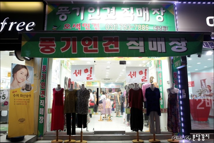 풍기인견나무 이미지