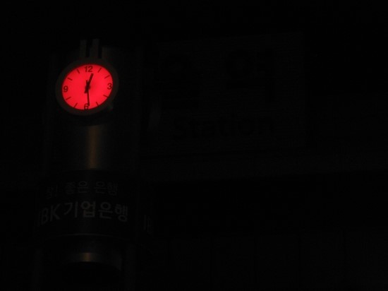 낙동강오리알 이미지