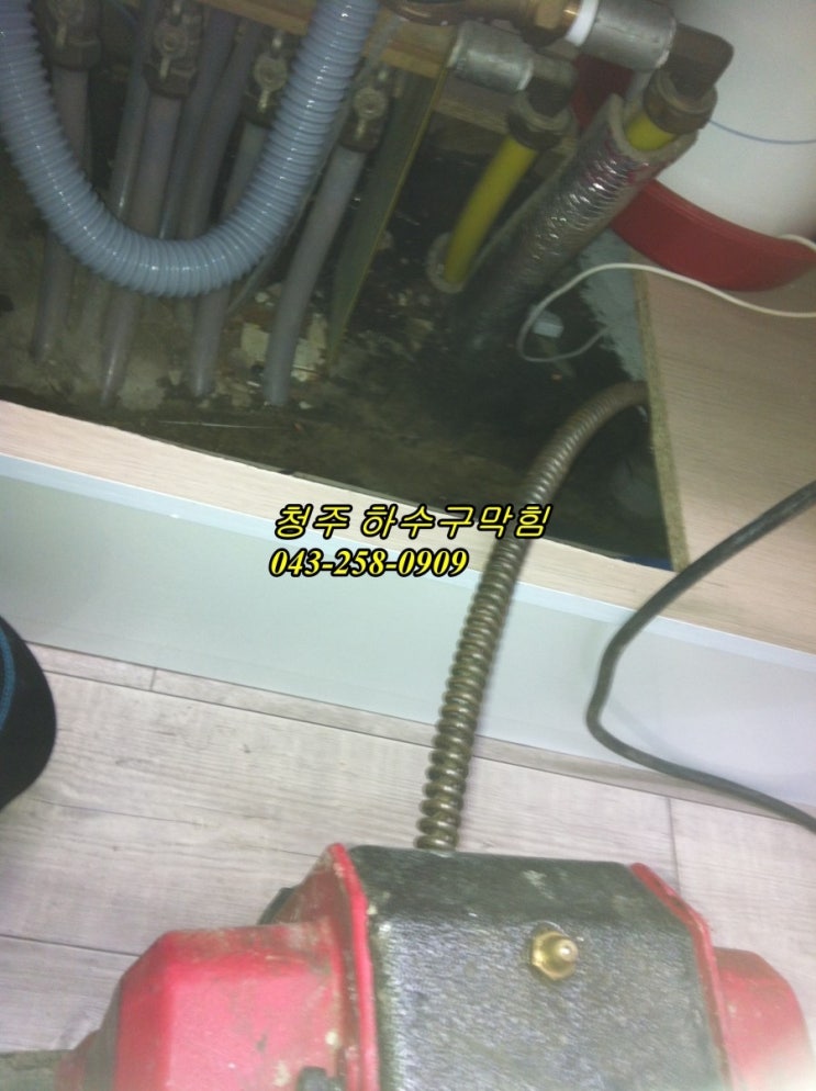 금성계전 이미지
