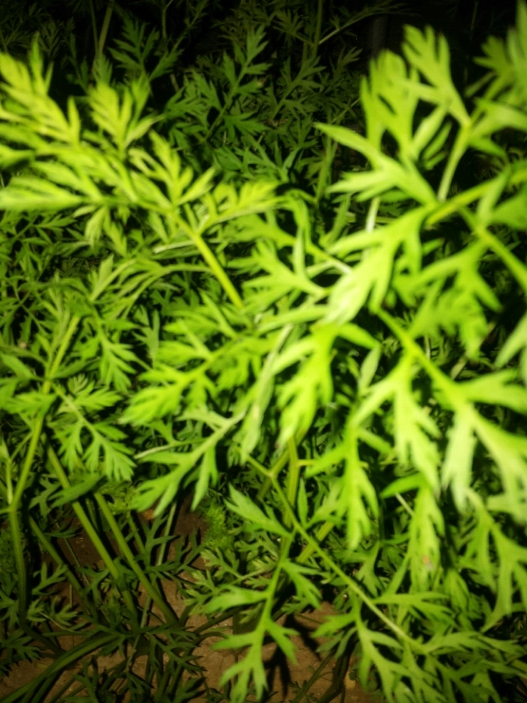 엄마손슈퍼 이미지