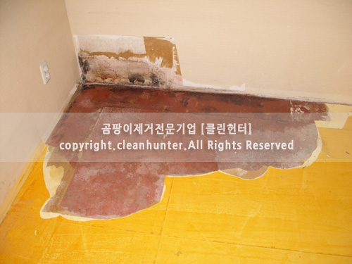 곰팡이헌터 이미지