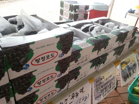 서누네농장 이미지