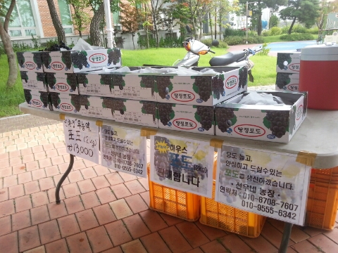 서누네농장 이미지