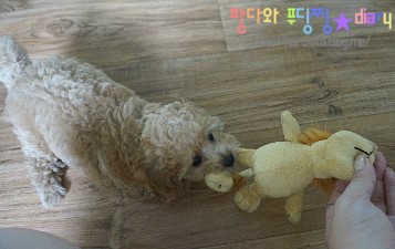 길정병원 이미지