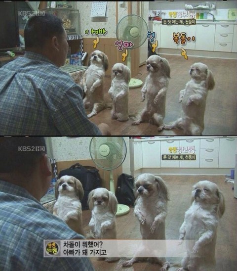언니분식 이미지
