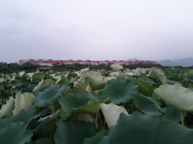 연바다 이미지