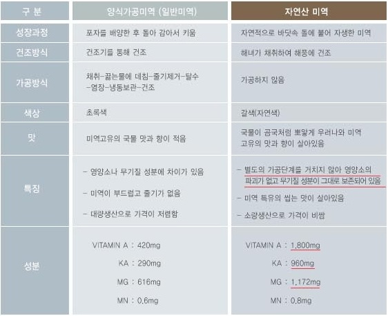 해맑은번영 이미지