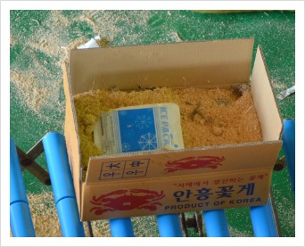 바다림 이미지