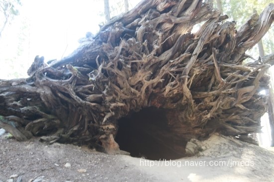 그로브(grove)캠핑 이미지
