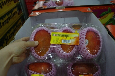 츄릅 이미지