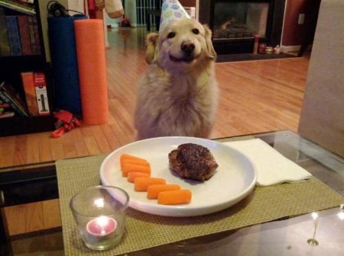 생일이개 이미지