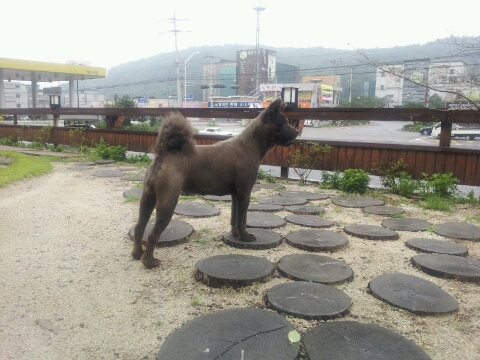 동이참숯생오리 & 장어 이미지