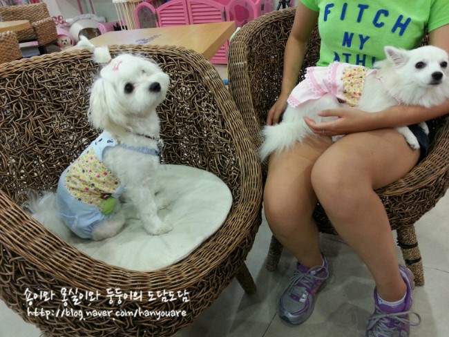 카페엘리 이미지