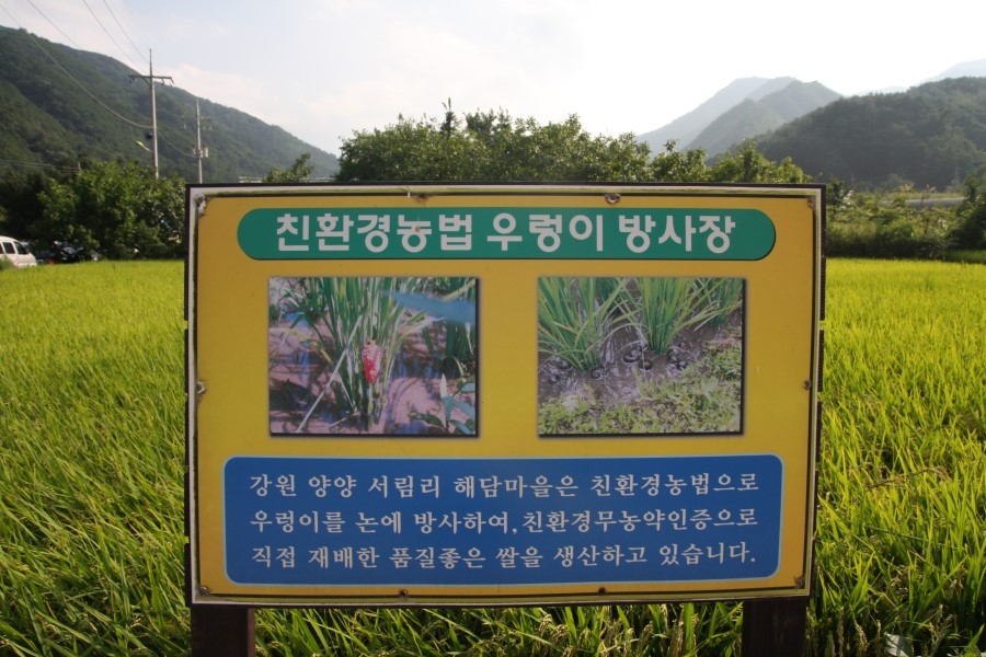 꿀맛웰빙푸드 이미지