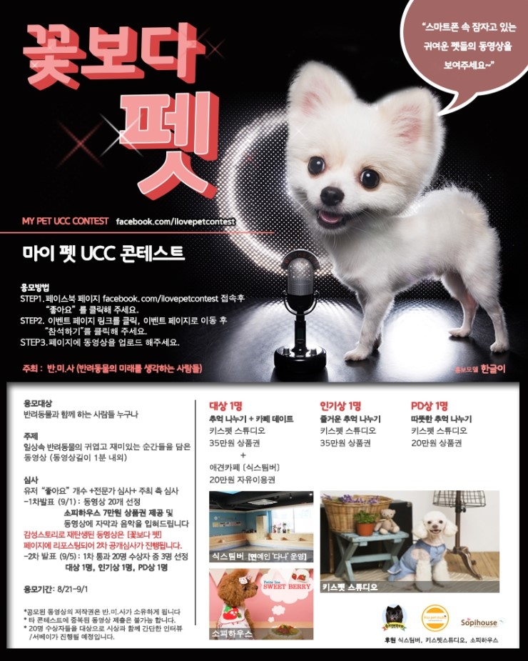 팡팡 이미지