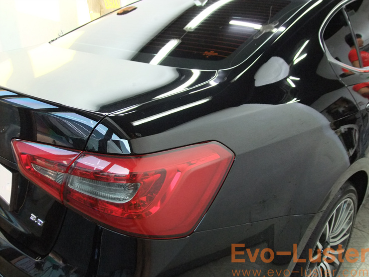 Evo-Luster 이미지