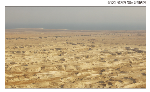 엔게디(Ein Gedi) 이미지