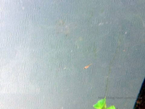 새우집우리집 이미지