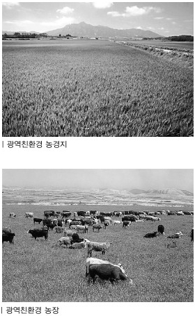성하축산 이미지