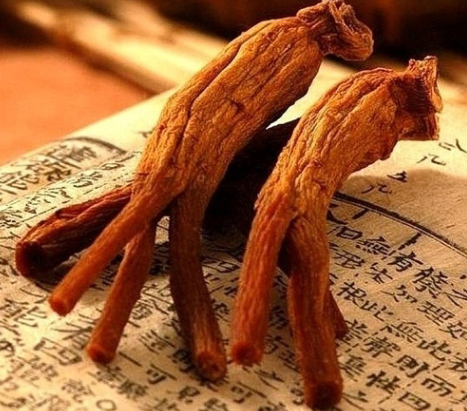 젤리피플 이미지