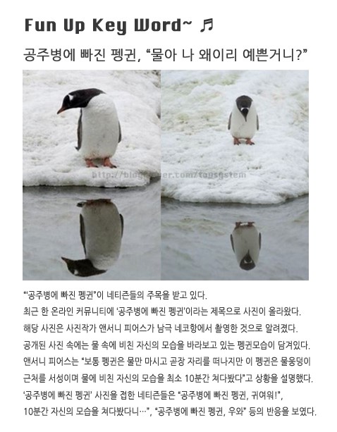 토브몰 이미지