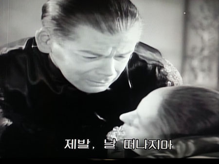 대지 이미지