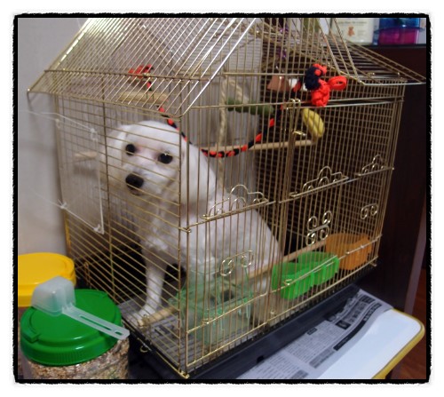 용삼 이미지