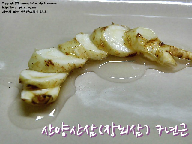 강원백운산삼농원 이미지