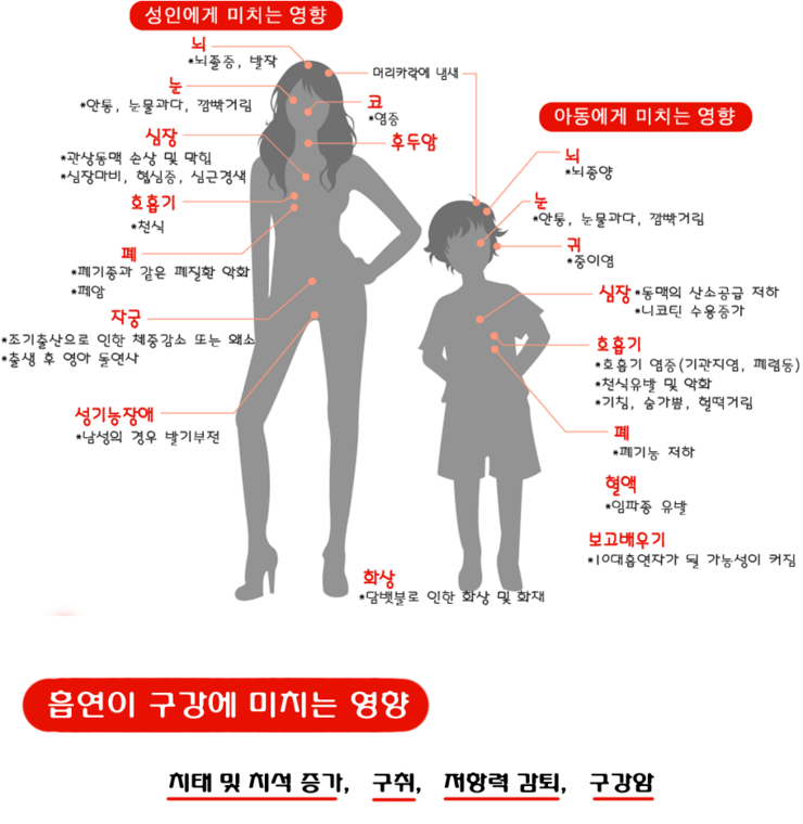 요요치과 흡연이 신체에 미치는 영향~ 네이버 블로그