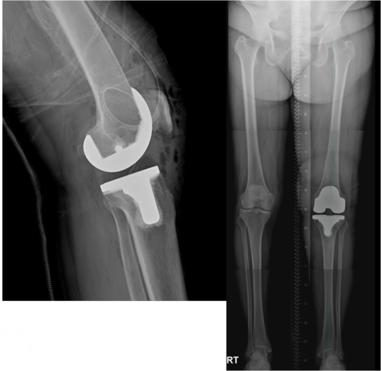 인사진관 이미지