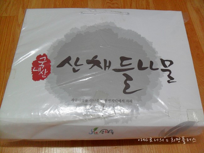 참솔기획 이미지