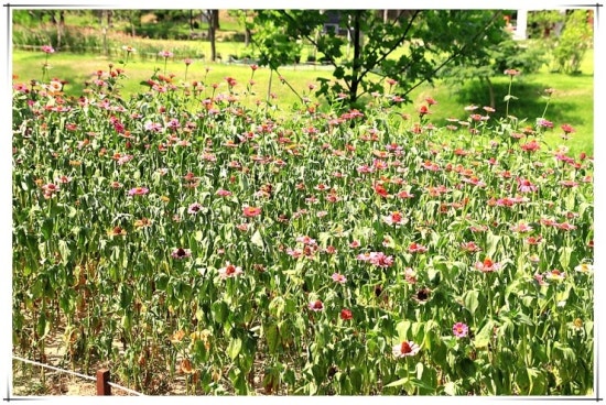 도음산 유아숲체험원 이미지