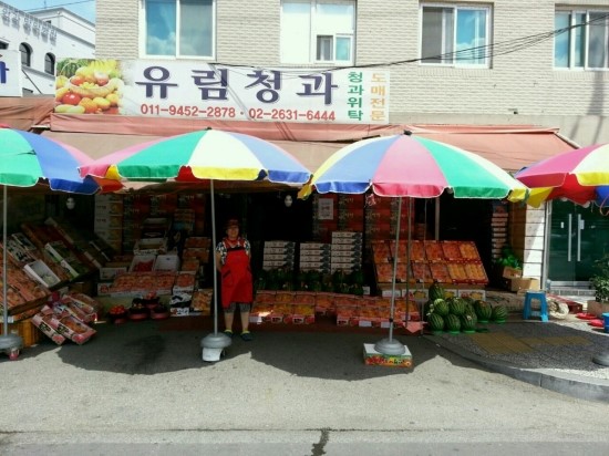 유림청과 이미지