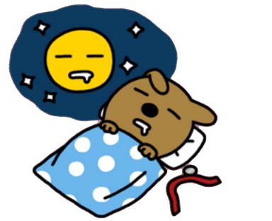 멋쟁이예쁜옷 이미지