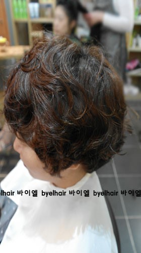 바이엘미용실 이미지