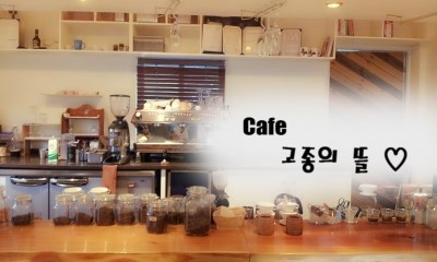 고종의뜰 굼터 이미지