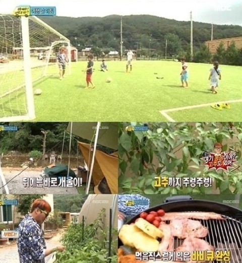 축구보는닭 이미지